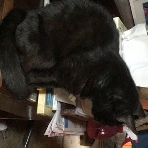 Meet your Posher, Val